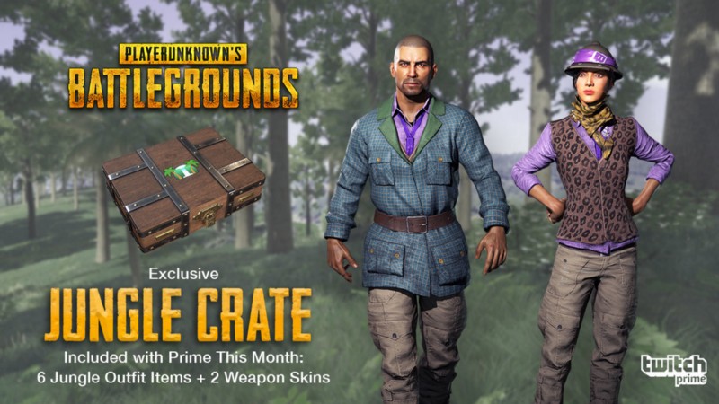 PUBG Gamers Can Get This Cool Jungle Crate