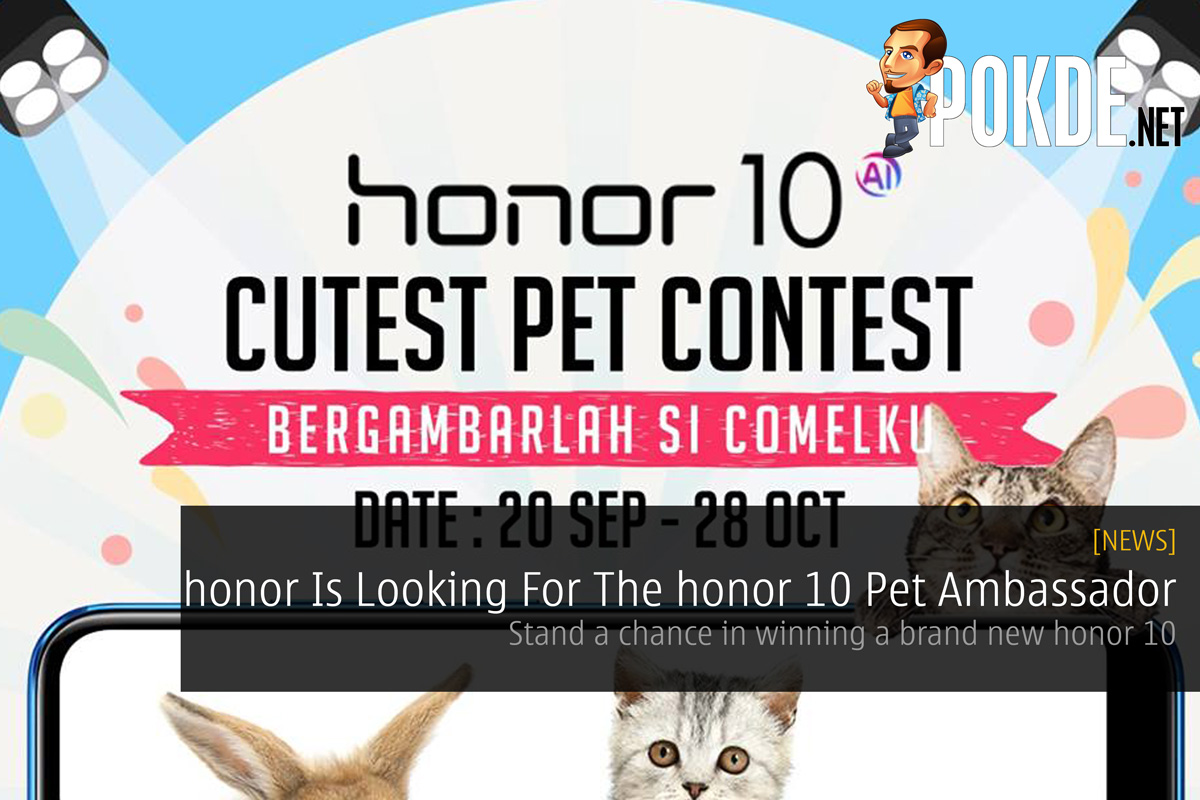 honor Is Looking For The honor 10 Pet Ambassador — Stand a chance in winning a brand new honor 10 34
