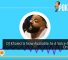 DJ Khaled Is Now Available As A Voice Option On Waze 28