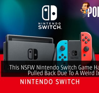 This NSFW Nintendo Switch Game Has Been Pulled Back Due To A Weird Incident 32
