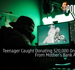 Teenager Caught Donating $20,000 On Twitch From Mother's Bank Account 24