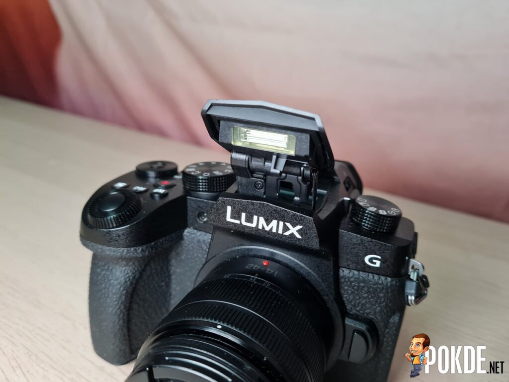 Panasonic LUMIX G95 Review