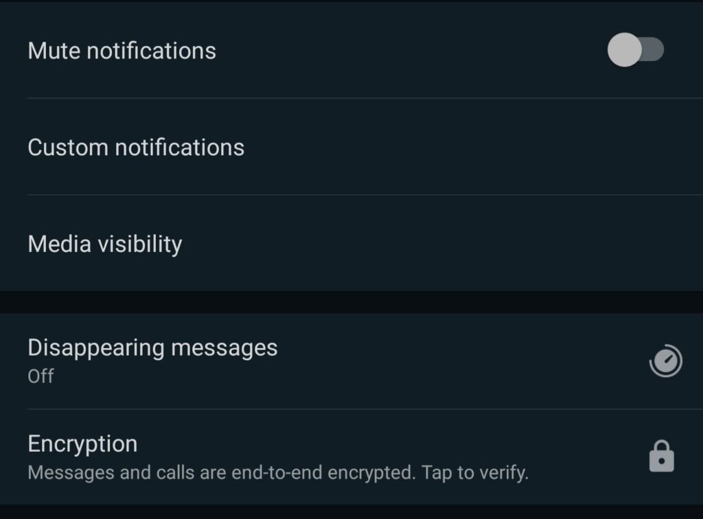 How to Enable Disappearing Messages on WhatsApp 21
