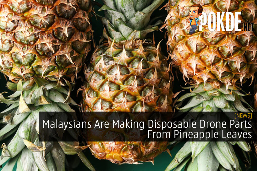 Malaysians Are Making Disposable Drone Parts From Pineapple Leaves 29