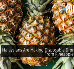 Malaysians Are Making Disposable Drone Parts From Pineapple Leaves 35