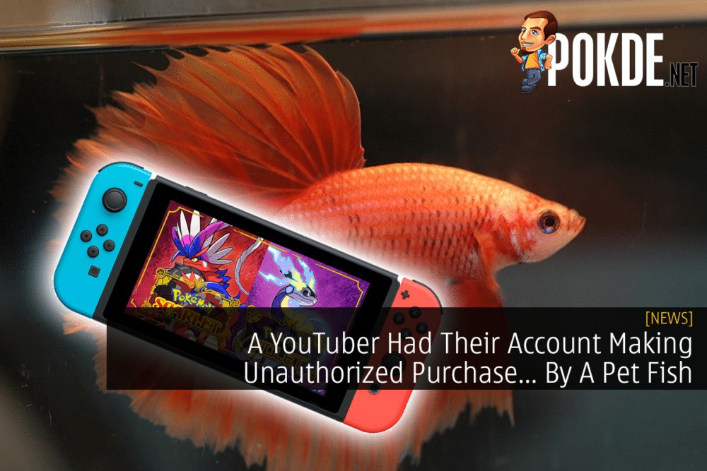 A YouTuber Had Their Account Making Unauthorized Purchase... By A Pet Fish 26