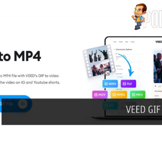 VEED GIF to MP4 Review -