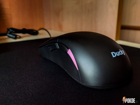 Ducky Secret (7)