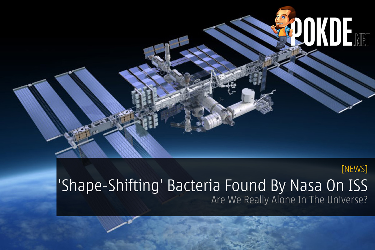 'Shape-Shifting' Bacteria Found By Nasa On ISS - Are We Really Alone In The Universe? - 82