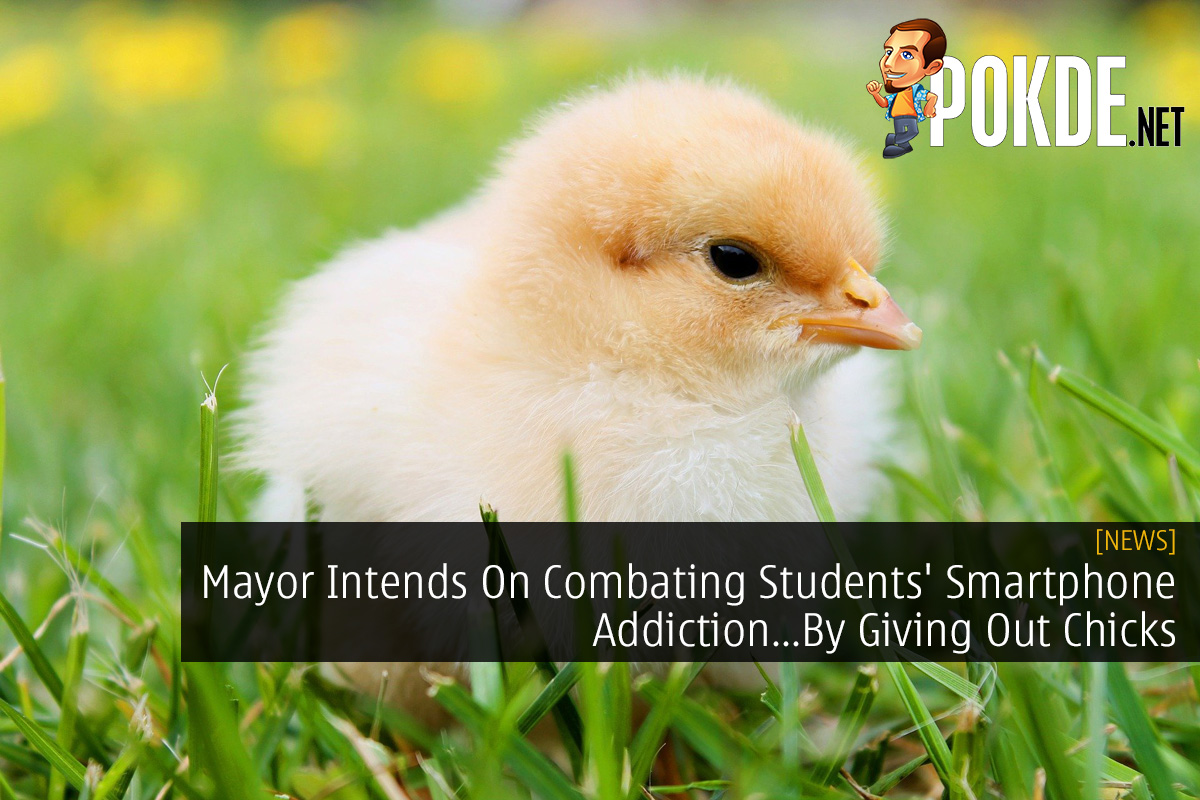 Mayor Intends On Combating Students' Smartphone Addiction...By Giving Out Chicks - 17