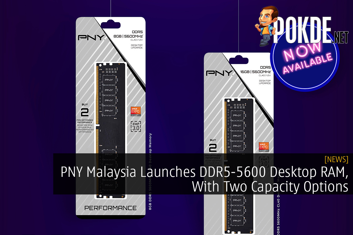 PNY Malaysia Launches DDR5-5600 Desktop RAM, With Two Capacity Options - 15