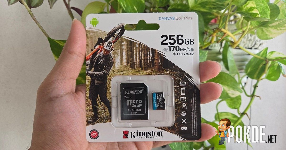 256GB Kingston Canvas Go Plus Review - Affordable microSD Storage for 4K Videos